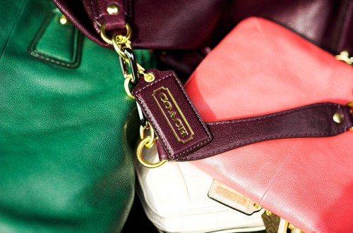 Coach Kristin - Colors Coach Kristin - Colors