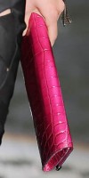 Gucci Handbags Spring 2010 Gucci Handbags Spring 2010