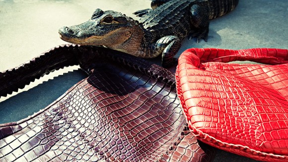 Bottega Veneta Icon Handbags in Croc Bottega Veneta Icon Handbags in Croc