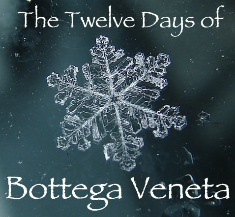 The Twelve Days of Bottega Veneta The Twelve Days of Bottega Veneta