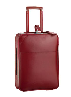Louis Vuitton Pegase 55