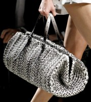 Bottega 16