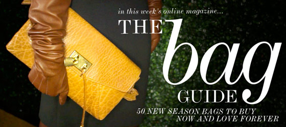 The Net-a-Porter Bag Guide