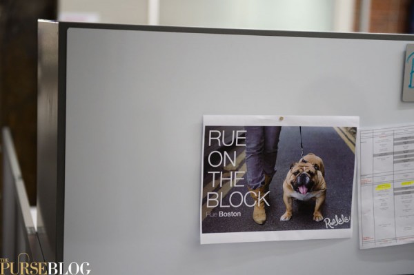 RueLaLa Bulldog in Boston campaign