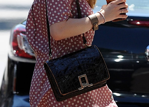 Amanda Seyfried bag