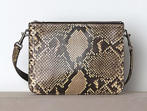 The Bags of Celine Winter 2012 13 Celine 13