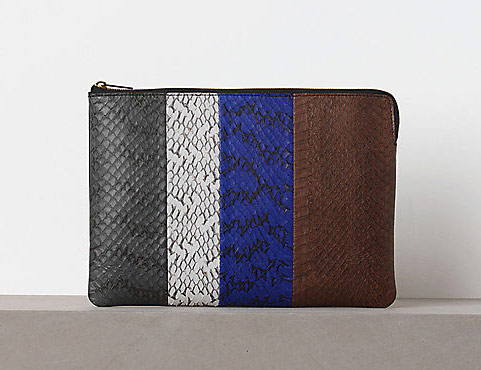 The Bags of Celine Winter 2012 15 Celine 15
