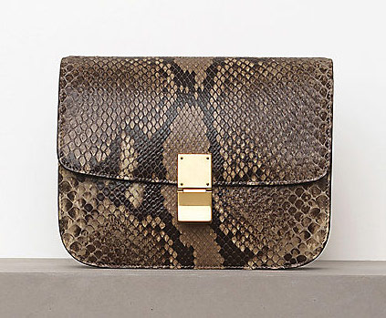 The Bags of Celine Winter 2012 24 Celine 24