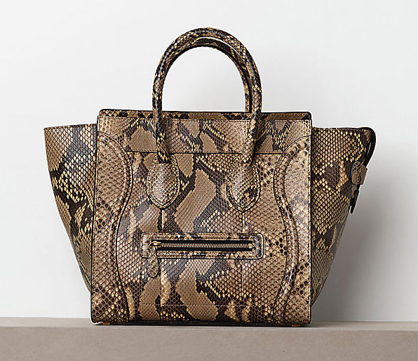 The Bags of Celine Winter 2012 38 Celine 38