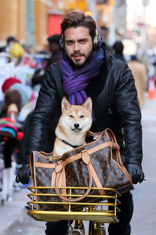 So My Style!! Love The Whole Look.  Celebrity bags, Louis vuitton dog  carrier, Buisness women