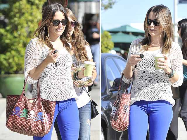 Sophia Bush adds a pastel punk edge to her Goyard Tote - PurseBlog