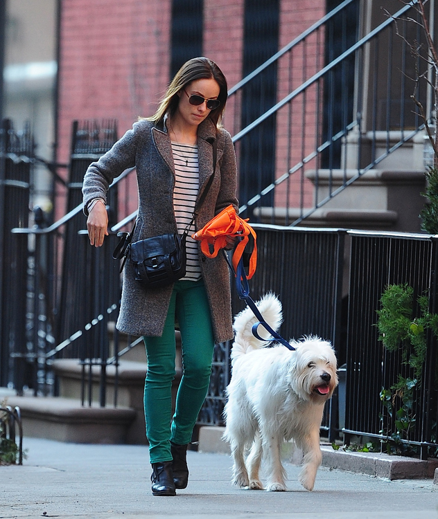 Olivia Wilde walks her dog with a Proenza Schouler pouch at her side ...