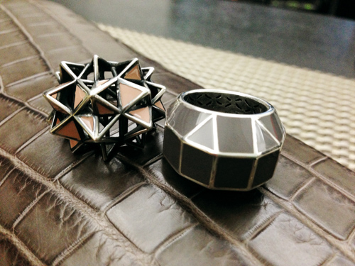 Bottega Veneta Rings and Crocodile Knot Clutch