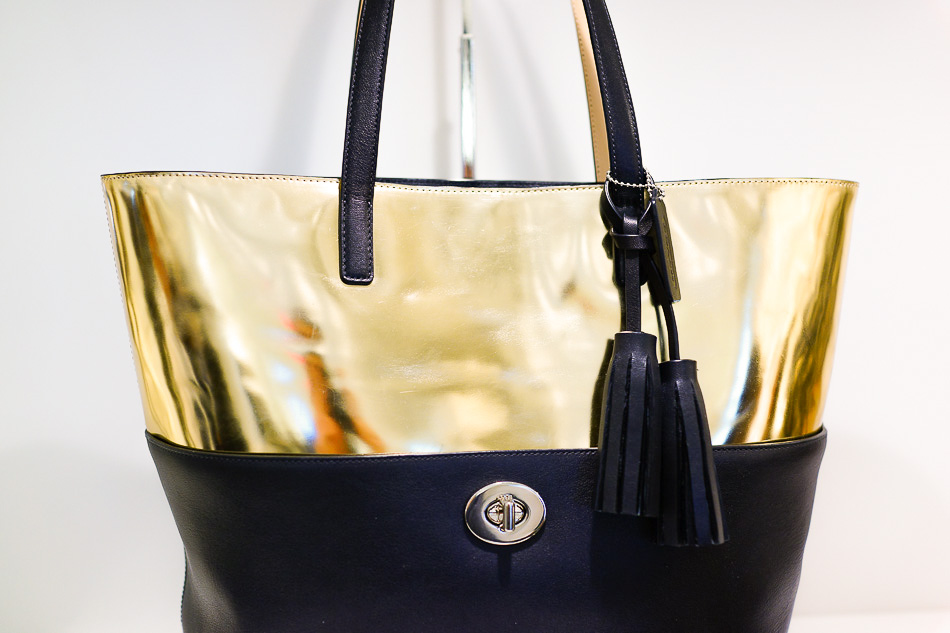 coach bags fall 2023
