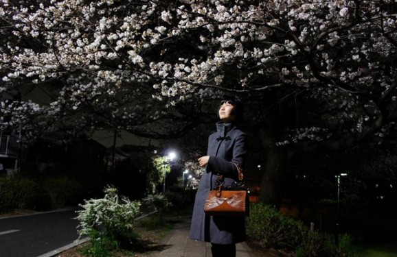 Dior Samurai Bag and Cherry Blossoms Wide