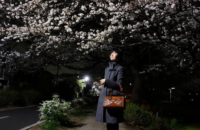 Dior Samurai Bag and Cherry Blossoms Wide