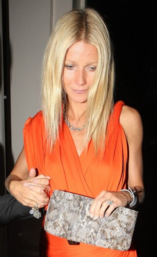 The Many Bags of Gwyneth Paltrow (9)