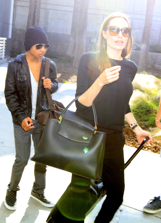 Angelina Jolie flashes new Louis Vuitton bag - Luxury Goods