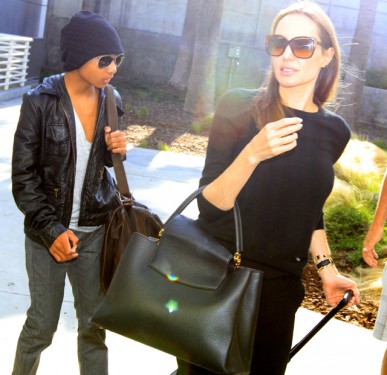 Angelina Jolie carries a Louis Vuitton Capucines Bag in LA (5)