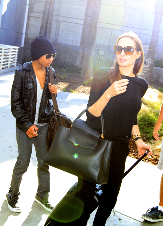 Angelina Jolie Debuts the Brand New Louis Vuitton Capucines Bag - PurseBlog