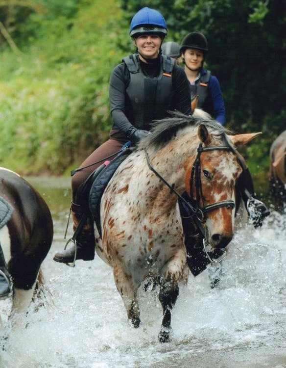 Appaloosa Horse