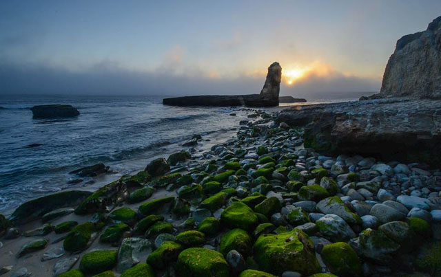 Coastal California