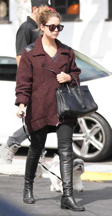 Ashley Benson Strolls with Her Pup and Her Saint Laurent Bag - PurseBlog