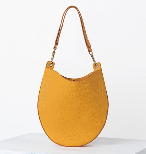 Celine Handbags Spring 2014 (34)