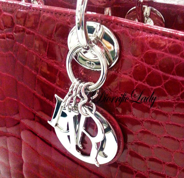 Dior Crocodile Bag