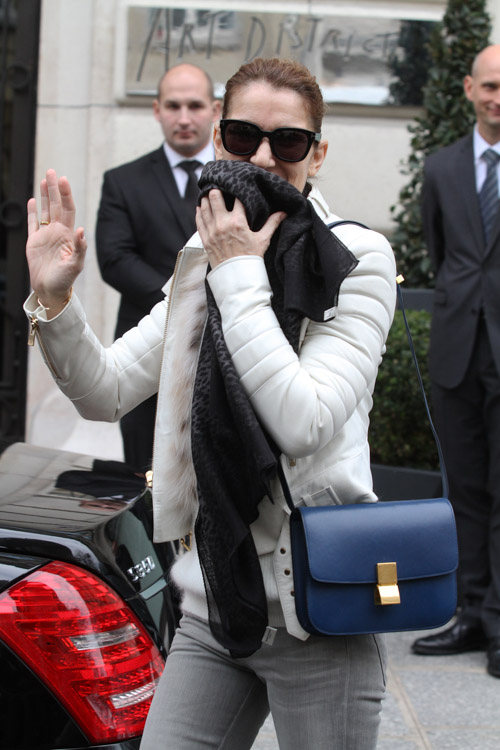 Celine Dion's Celine Bag was Apparently Not a Fluke - PurseBlog