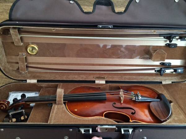 Violin