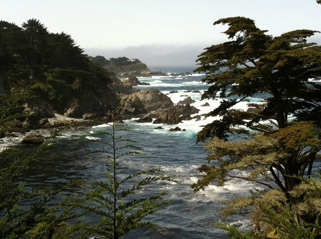 Scenic View