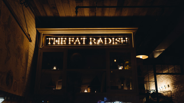 PBeats-Fat-Radish-3