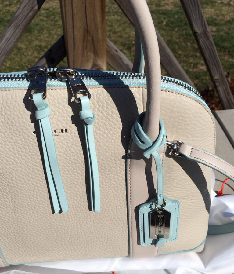 Coach Dome Bag