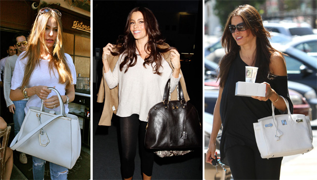 The Many Bags of Sofia Vergara - PurseBlog in 2023