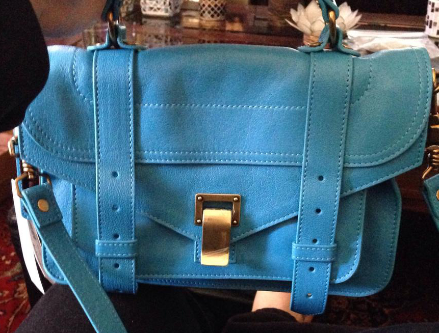 Proenza Schouler Tiny PS1 Bag