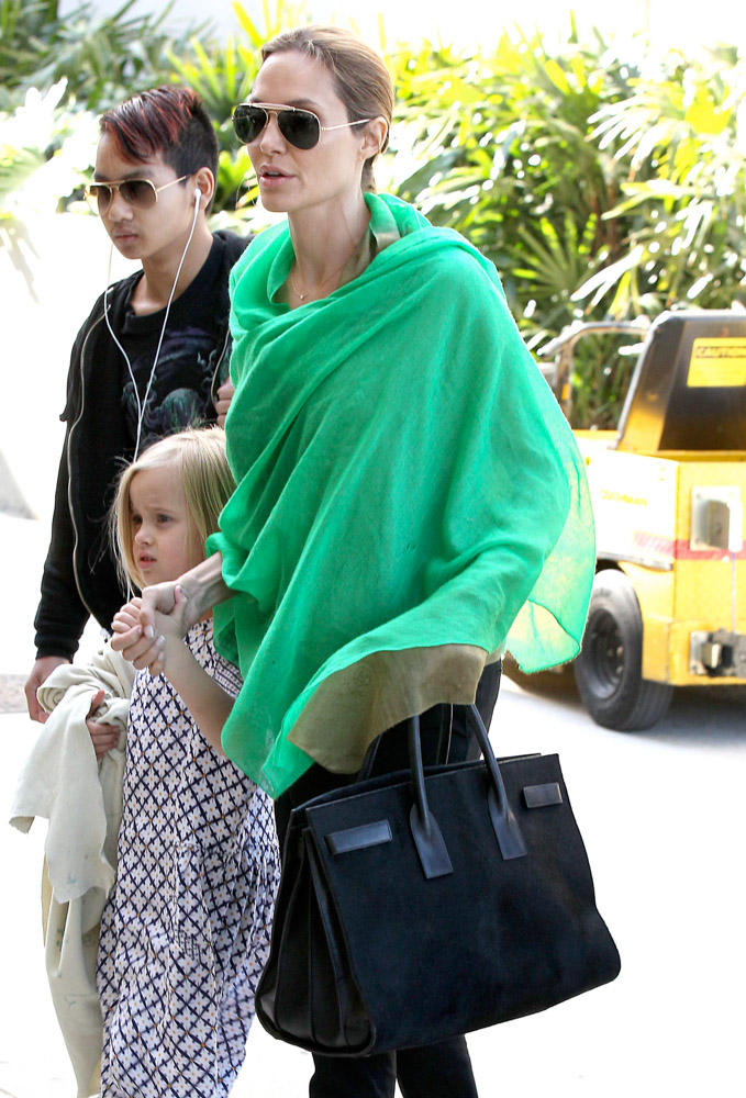 Angelina Jolie Bag is Louis Vuitton - Japan Goodies TRS