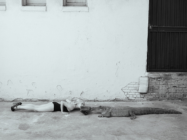 Celebrity photographer Tyler Shields Feeds $100,000 Crocodile Skin