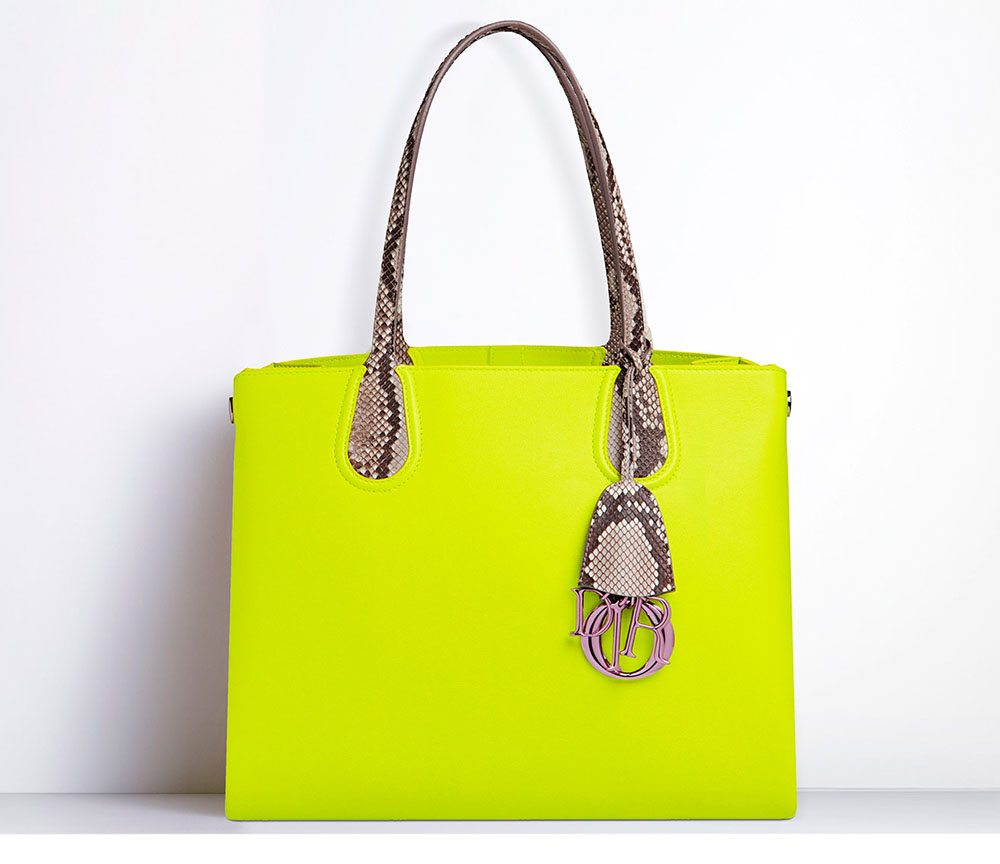Dior Addict Python Handle Tote