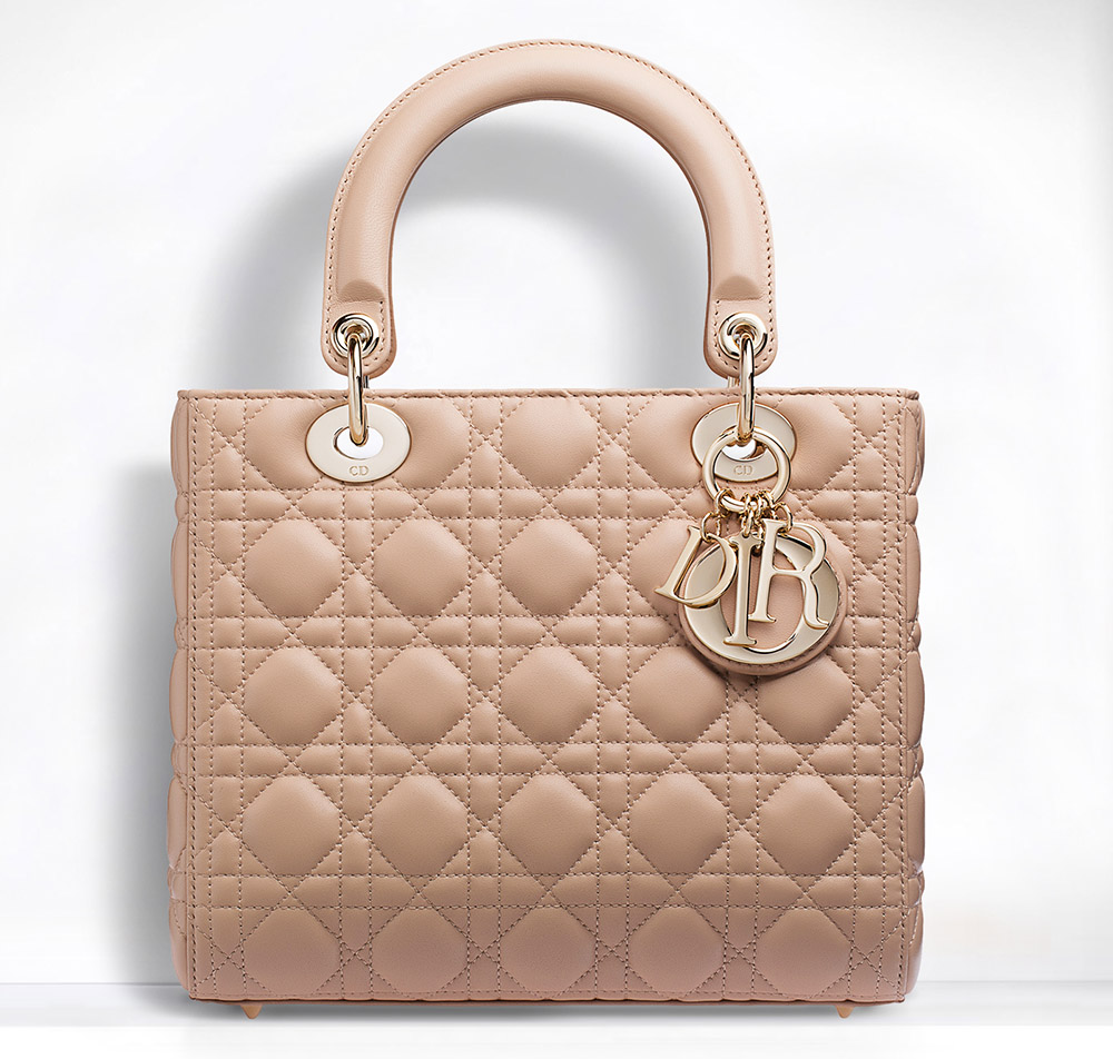 bag lady dior