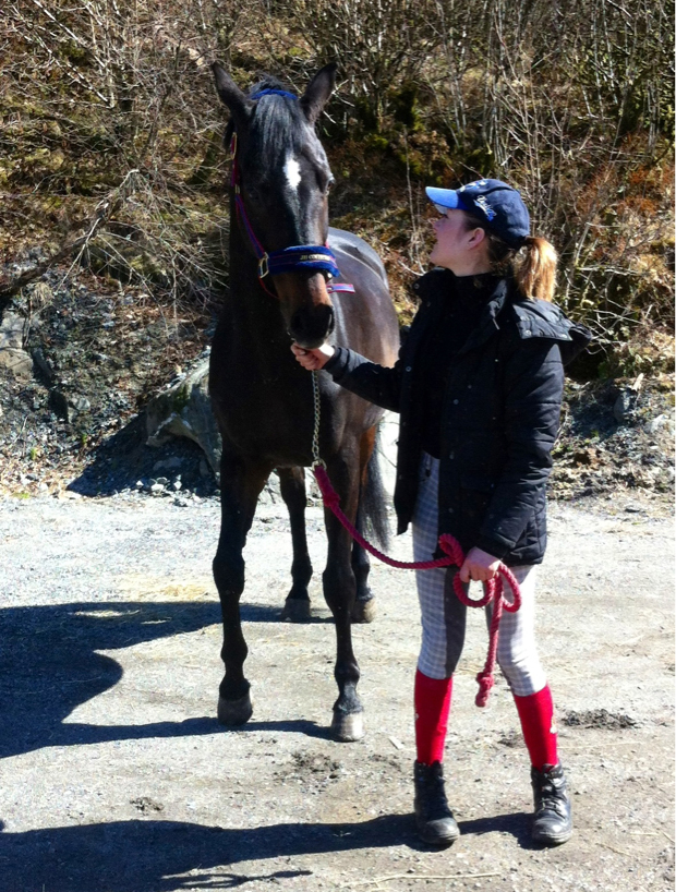 Horse