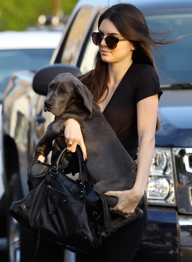 kendall jenner balenciaga bag