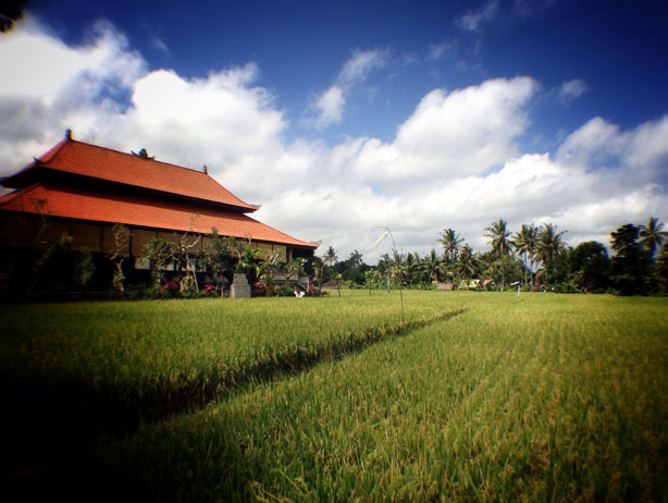 Pagoda
