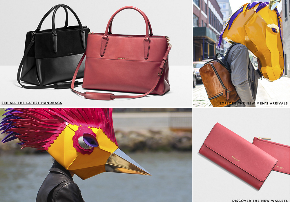 Coach Wild Things 3