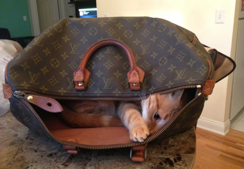 Louis Vuitton Dog Face Baggage