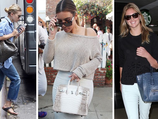 nancy gonzalez purses