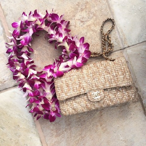 55 Must-See Chanel Bags on Instagram (16)