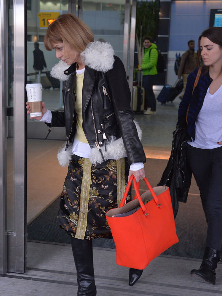 The Paparazzi Finally Caught Up With Anna Wintour And More