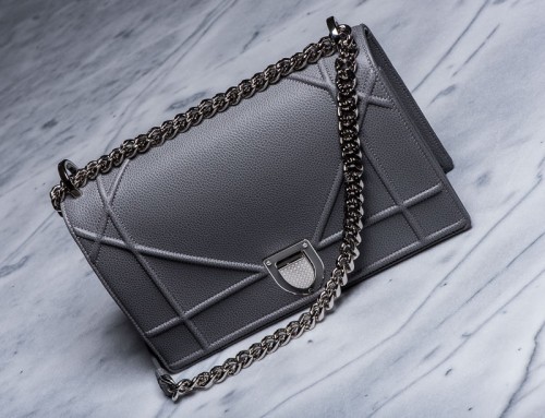 New Dior Diorama Bag (1)
