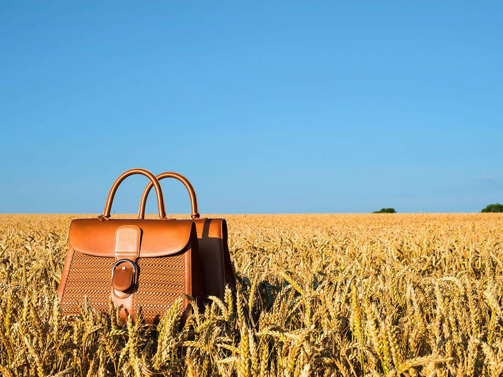 Delvaux handbag review  Does the worlds 1st luxury leather goods